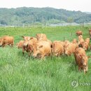 방목 - 성북구 삼선교로11길 18 | 방목