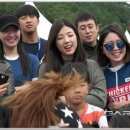 오토데이즈 이미지