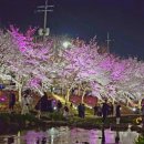 삼흥주유소 이미지