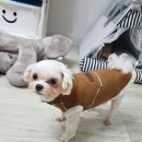 동팔이네 이미지