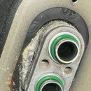 영카센타 이미지