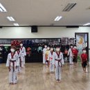 신나는태권도장 이미지