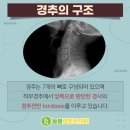 늘봄PC 이미지