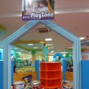 꿈꾸는 나무 이미지