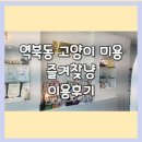 즐겨찾냥