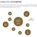 나인오피스