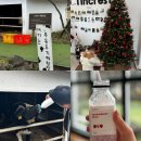 우리들 목장 | 제주 아침미소목장 겨울 아기랑 체험 솔직후기