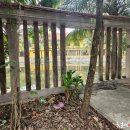 스테이자유 이미지