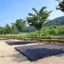 연산황산벌오토캠핑장 이미지