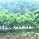 마당발부동산중개사무소 이미지