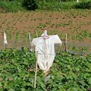 선기농장 이미지