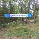 용인산삼