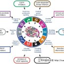 큐어람한의원 이미지