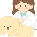 이레종합인쇄