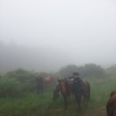 송당승마장 이미지