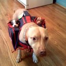 웃으면복이와요 이미지