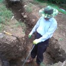 초야농장 이미지