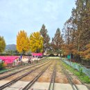 캠앤조이 이미지