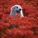 우정세탁 이미지