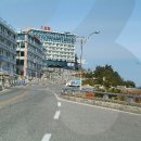 새천년도로 네이버블로그