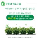 에코큐빅
