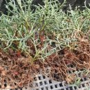 용토목장 이미지