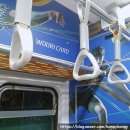 파리바게트 청구장충점 | 우리카드 위비 vs KB 2월 21일 장충체육관 배구 직관 후기 + 태극당