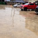 무성리농장 이미지