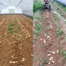 북두농장 이미지