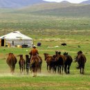초원의 나라 몽골 이미지