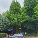 우면산6-12 이미지