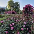 가음정사거리 이미지