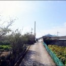 읍내리 마을회관 이미지