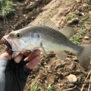 청도천4 이미지