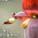 기쁨행정사사무소 이미지