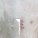 유앤아이동물병원 이미지