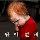 제주다반사 이미지