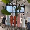 호박미용실 | 염색 잘하는 이문동미용실 외대미용실 무디 헤어에서 구슬실장님 매트 애쉬 인생 컬러 만난 후기