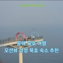 뉴알프스 관광 모텔 | 동해 묵호 여행, 어달해변부터 논골담길까지 - 평점이 증명하는 묵호 숙소 베스트