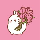 꽁이네 이미지