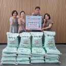 마당발공인중개사사무소 더코리아