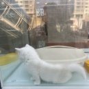 냥냥문방구 이미지