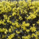 남원로527번길 이미지