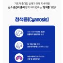 토리펫 | 토리의 라이프펫 기관지 영양제 체험후기