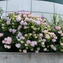 사림동302 | 23.06.10-23.06.19