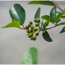 발랑리 경로당 이미지