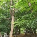 황방공원 이미지