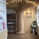 피피쿠스유치원 | 둔산동 유치원 피피쿠스 만족하는 이유