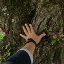 근덕초 마읍분교장 이미지