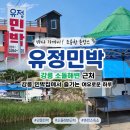 주문 민박 | 강릉 소돌해변 민박집 유정민박｜바다 앞에서 즐긴 강릉 촌캉스 숙소 후기